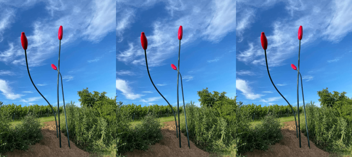 Hagebutten Triptychon 6-6-24